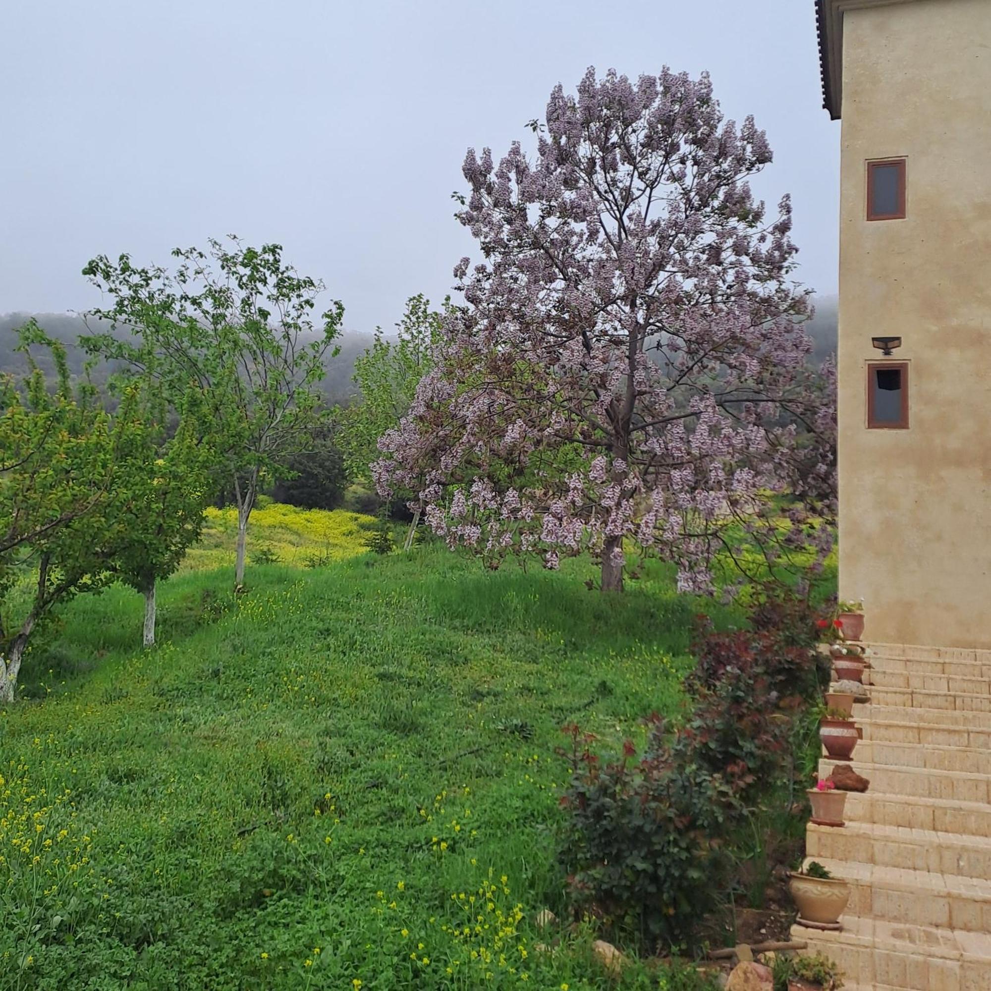 Le Chene D'Azrou Hotell Exteriör bild
