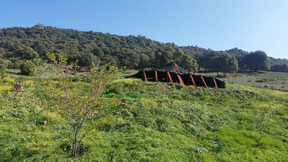 Le Chene D'Azrou Hotell Exteriör bild