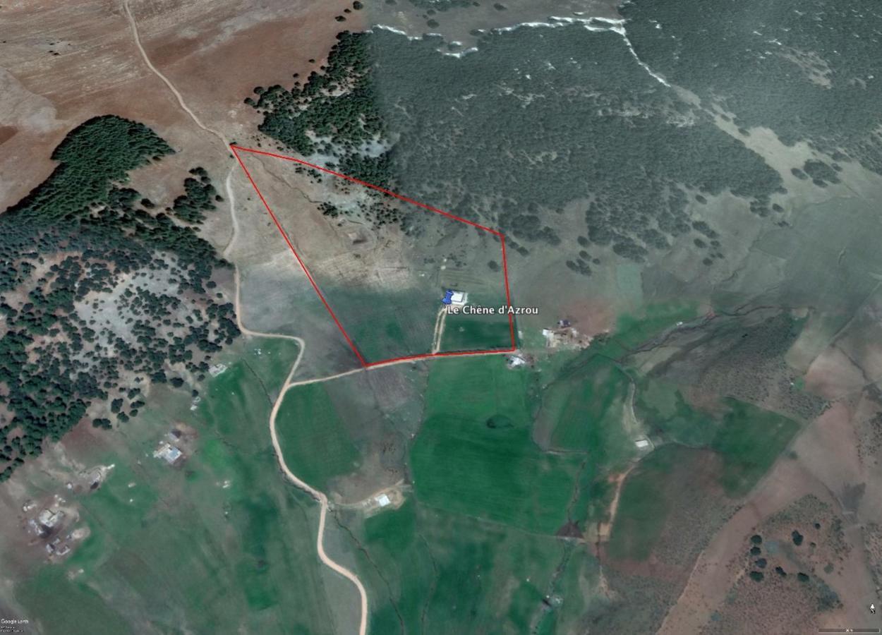 Le Chene D'Azrou Hotell Exteriör bild